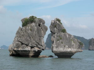 Fighting Cocks Islet