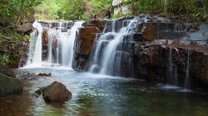 Phu Quoc primary forest 06