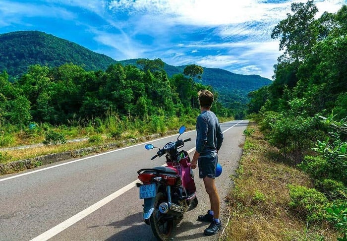 phu quoc primary forest 08