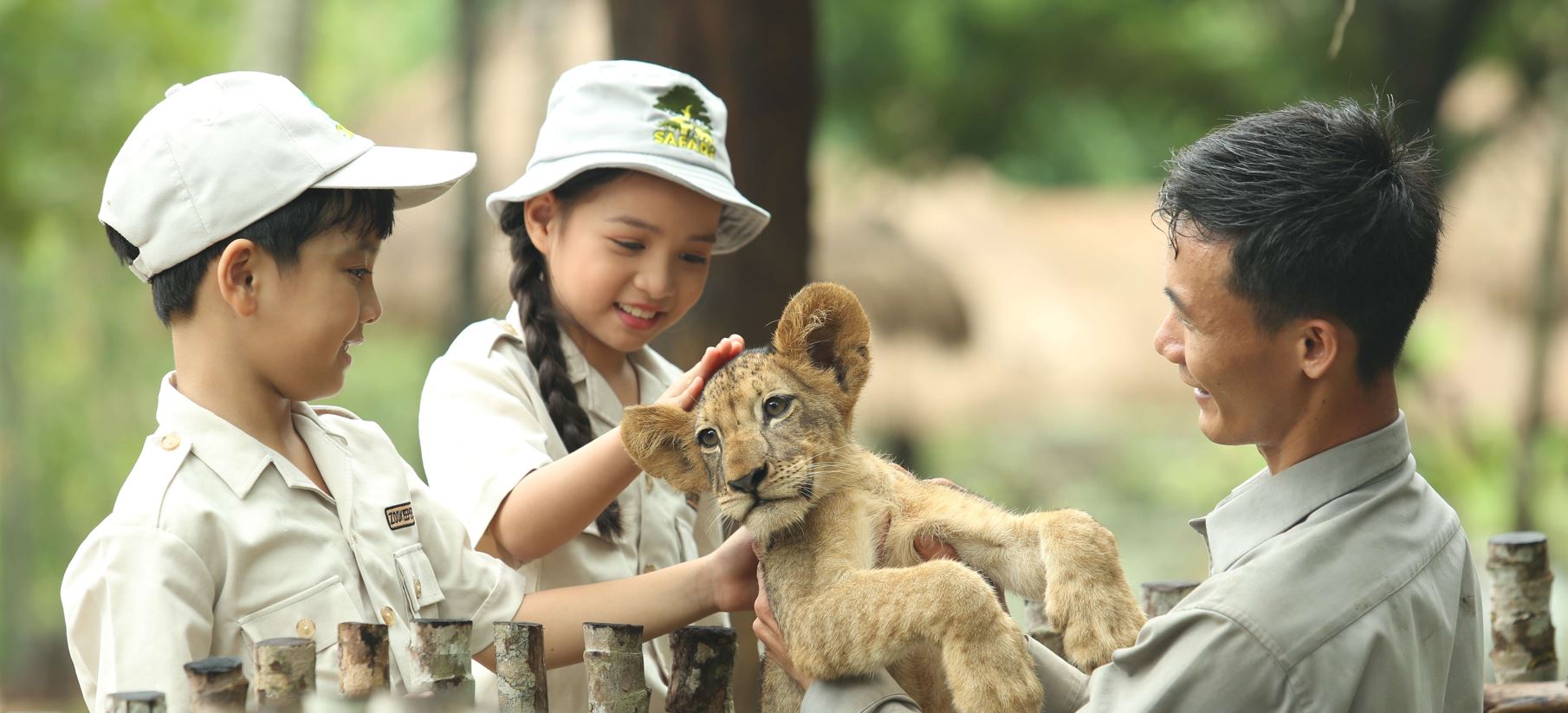 phu quoc primary forest 011