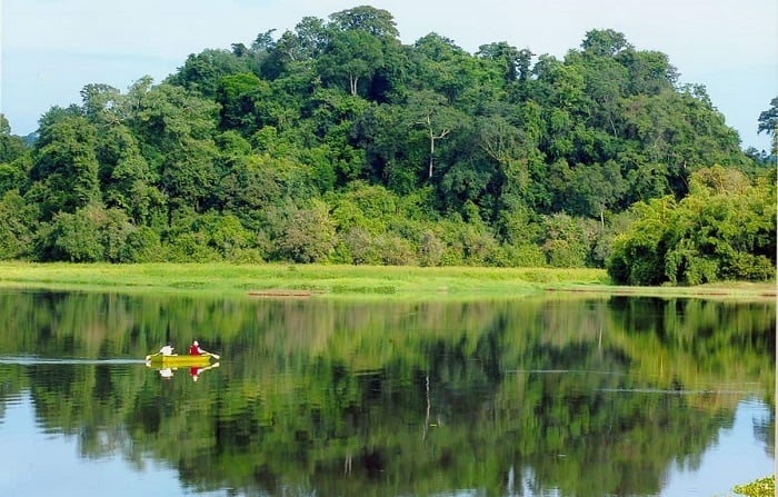 Phu Quoc primary forest 01